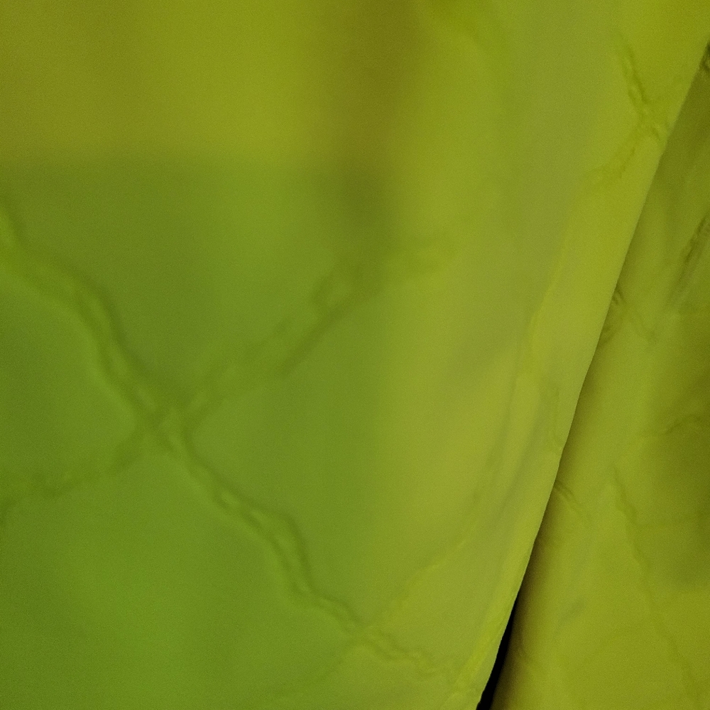 SHEFIT neon yellow workout jogger pants. - Picture 4 of 8